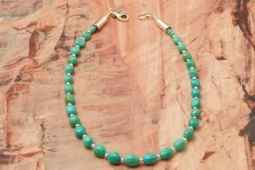 Desiree Yellowhorse Genuine Mineral Park Turquoise 16" Necklace
